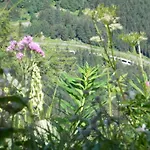 In Near Nassfeld *