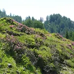 Διαμέρισμα In Near Nassfeld