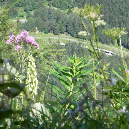In Near Nassfeld *