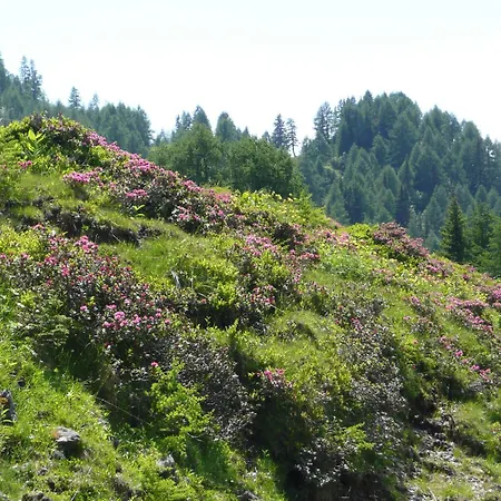 Apartmán In Near Nassfeld