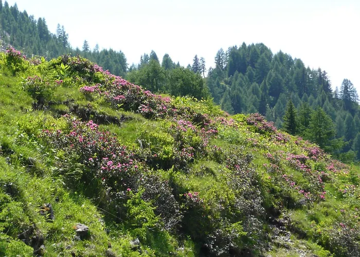 Apartmán In Near Nassfeld